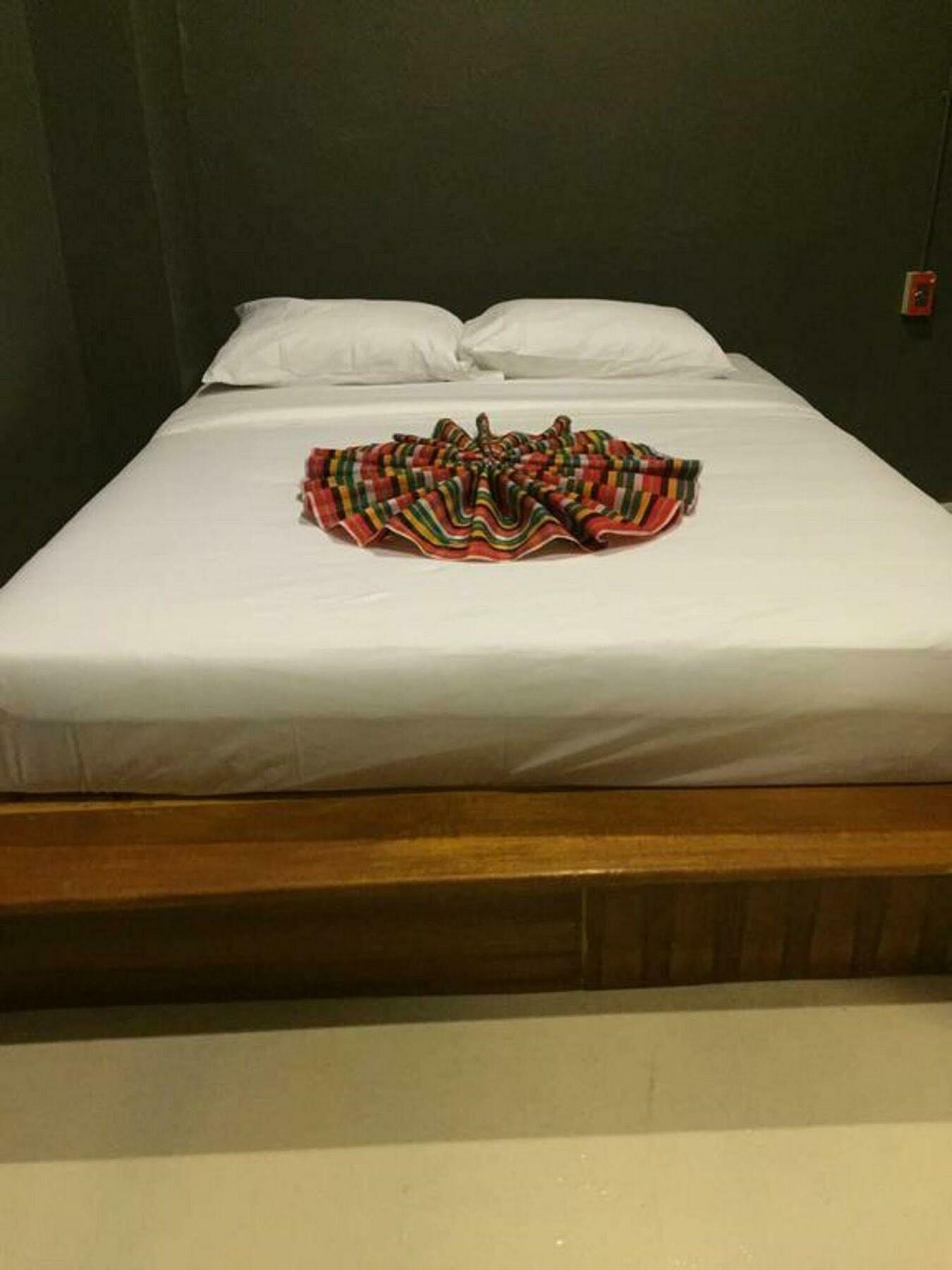 Pi Coco Hostel หาดเฉวง ภายนอก รูปภาพ